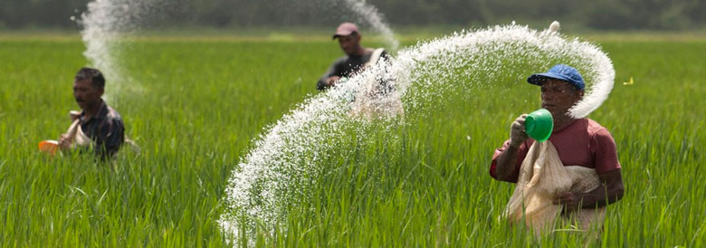 Urea 46% Nitrogen - Fertilizers