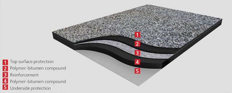 Components of Membrane